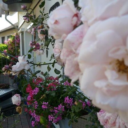 Gastehaus Rosengarten Im Nahetal Kirn Eksteriør bilde