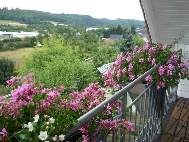 Gastehaus Rosengarten Im Nahetal Kirn Rom bilde